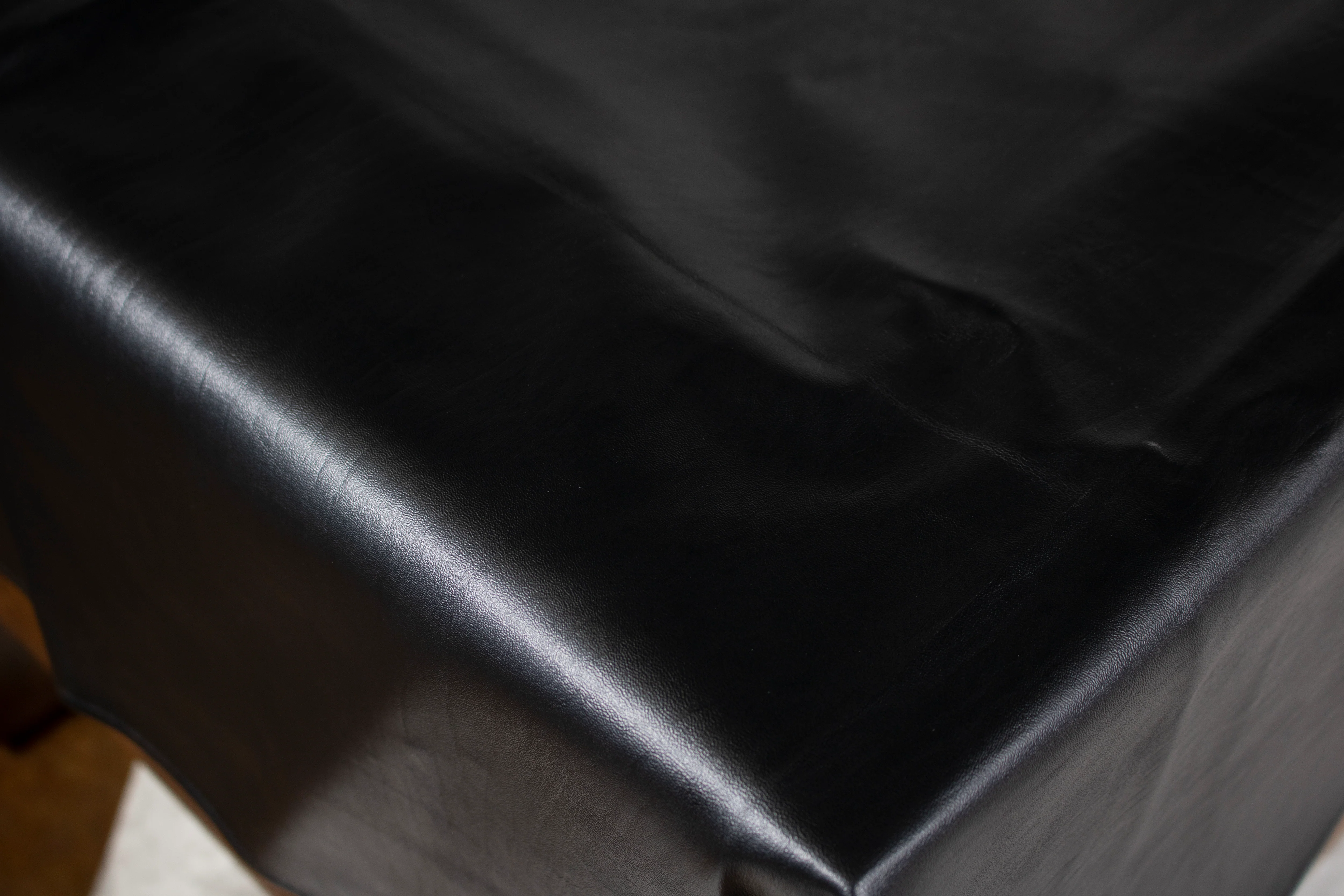 Shuffleboard Table Cover - Image 2